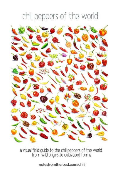 Chili Peppers of the World poster featuring 176 illustrated chili peppers from the five domesticated Capsicum species, including bell peppers, jalapeños, habaneros, rocotos, bird peppers, and superhot cultivars.