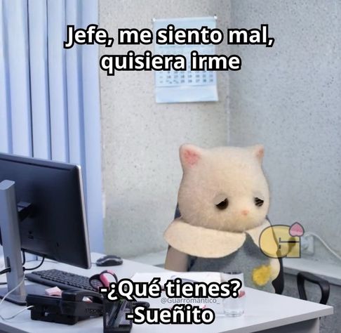 "Meme humorístico que muestra un personaje de gato blanco y esponjoso, estilo peluche, con una expresión triste y ojos medio cerrados, como si tuviera mucho sueño. Está sentado en una silla de oficina frente a un escritorio. Sobre el escritorio hay un monitor de computadora, un teclado y un ratón. Al fondo, se ven persianas verticales y un calendario colgado en la pared.

En la parte superior de la imagen, un texto blanco con borde negro dice: 'Jefe, me siento mal, quisiera irme'. En la parte i…