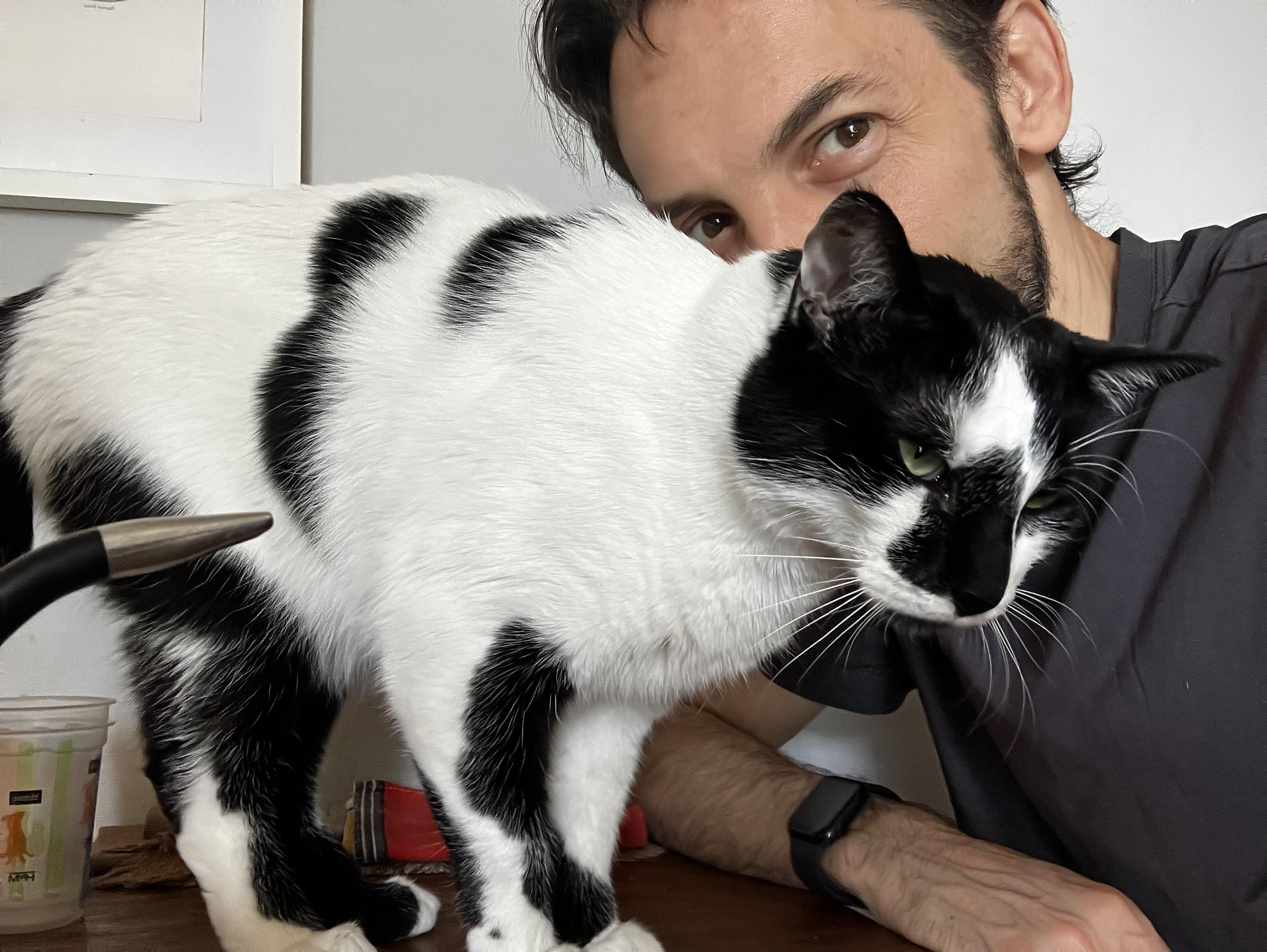 My white and black cat on the table rubbing against me and purring. He wants something. Hm.